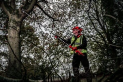 Milwaukee M18FOPH-CSA Quik-Lok Chainsaw Attachment -Horti Gear Sales Store m18 foph csa app 5